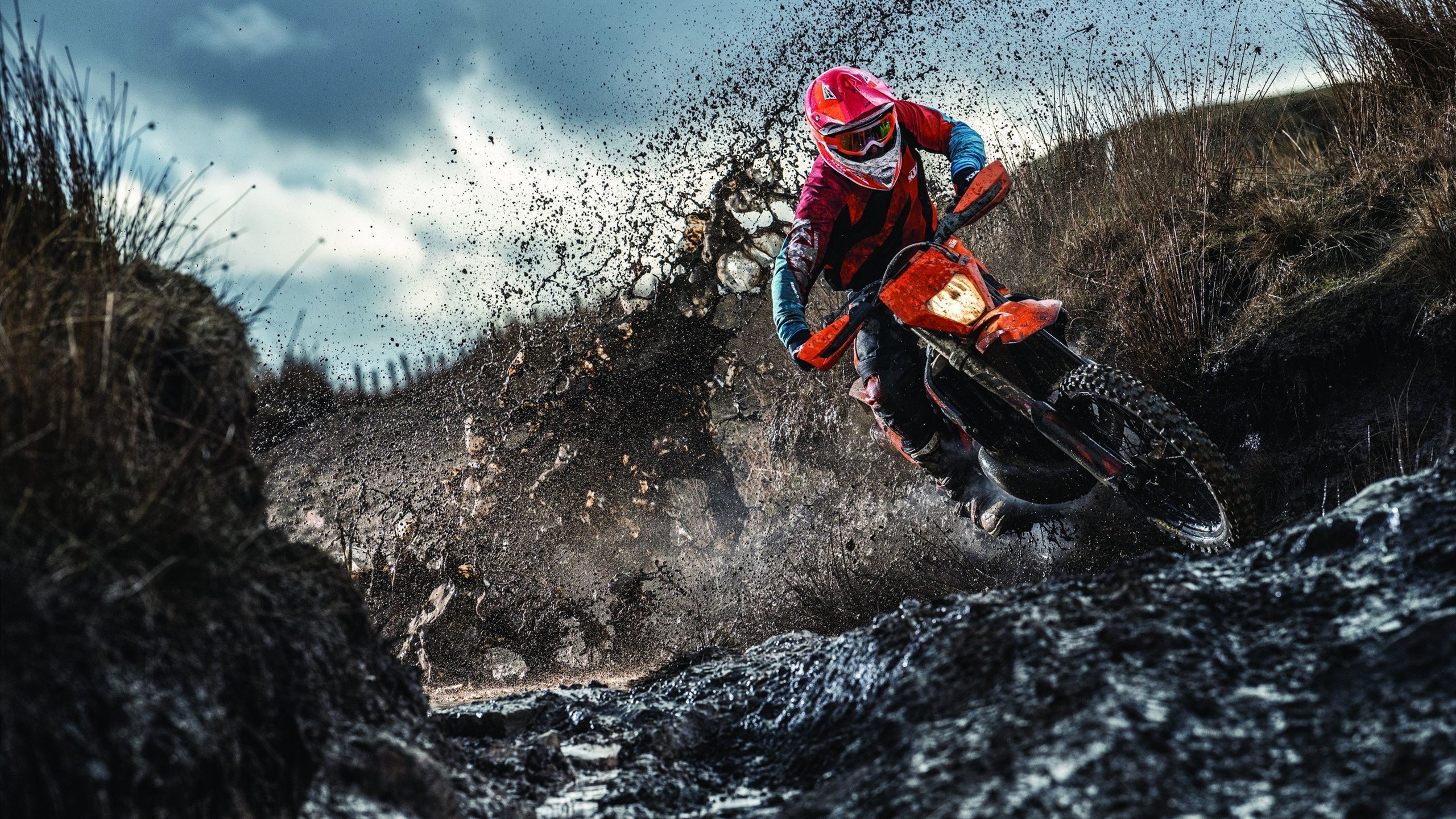 全明星夜，巨星大放异彩的绝佳瞬间！，全明星之夜是什么意思