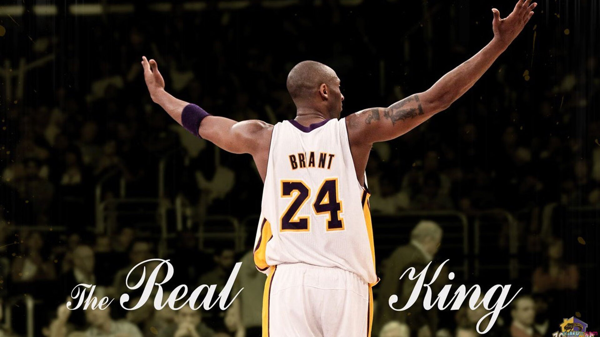 球员赛季表现持续攀升，过往赛季球员